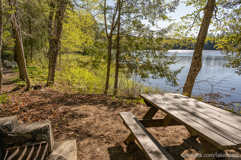 Campsite Photo of Site 39 at Lake Harris Campground, New York - Cross Site View