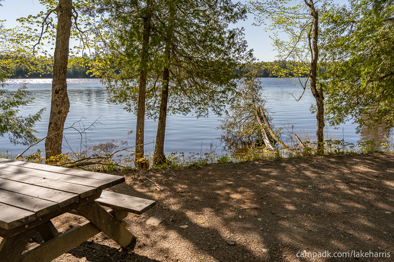 Campsite Photo of Site 39 at Lake Harris Campground, New York - Cross Site View