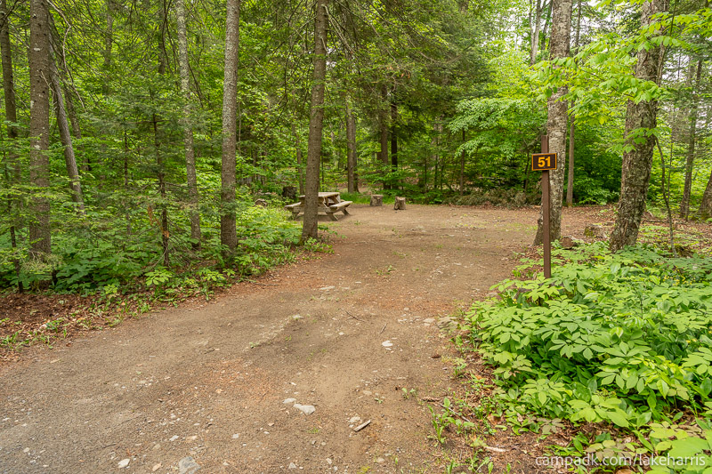 Campsite Photo of Site 51 at Lake Harris Campground, New York - Looking at Site from Road Sign Visible