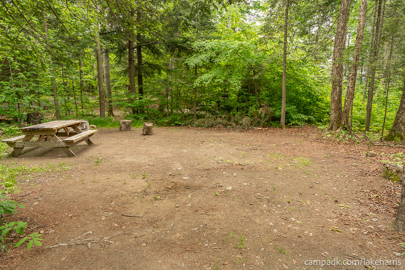 Campsite Photo of Site 51 at Lake Harris Campground, New York - Looking at Site from Part Way In