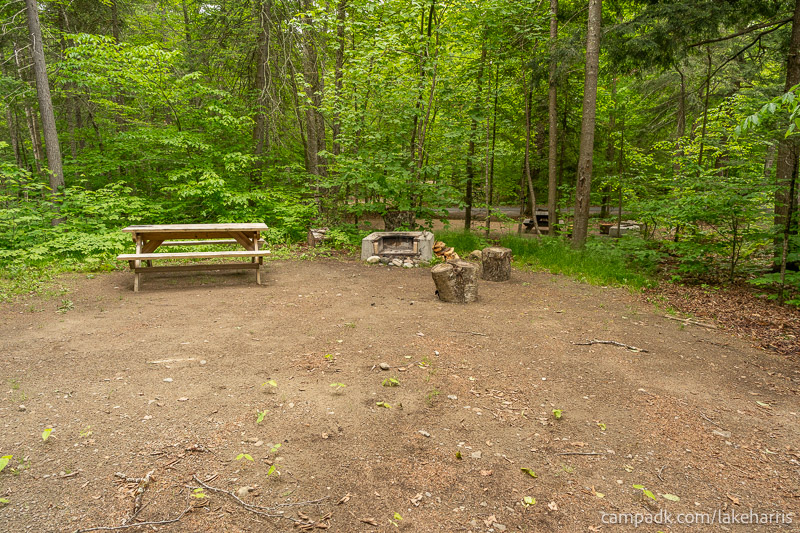 Campsite Photo of Site 51 at Lake Harris Campground, New York - Cross Site View