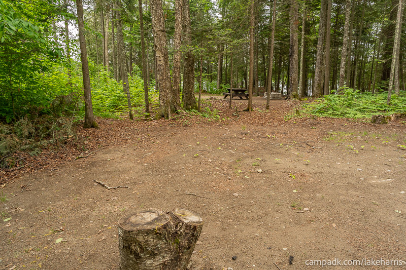 Campsite Photo of Site 51 at Lake Harris Campground, New York - Cross Site View