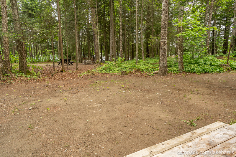 Campsite Photo of Site 51 at Lake Harris Campground, New York - Cross Site View