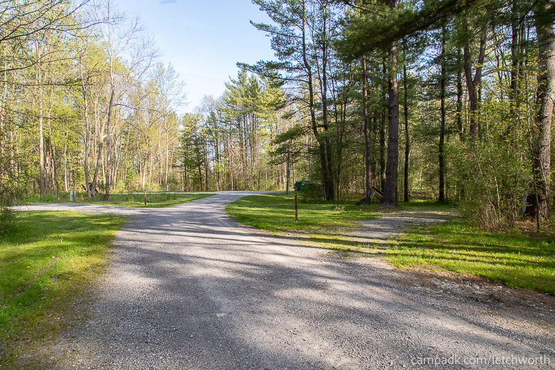 Campsite Photo of Site 102 at Letchworth State Park, New York - View Down Road from Campsite
