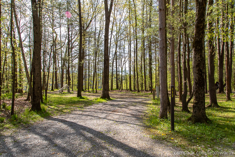 Campsite Photo of Site 117 at Letchworth State Park, New York - Looking at Site from Road Sign Visible