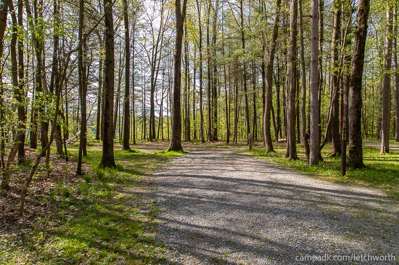 Campsite Photo of Site 117 at Letchworth State Park, New York - Looking at Site from Road Sign Visible