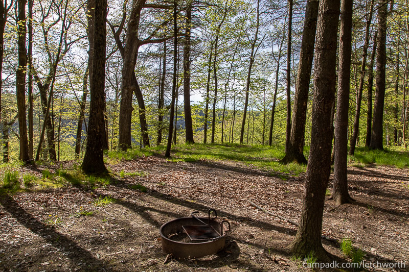 Campsite Photo of Site 117 at Letchworth State Park, New York - Fireplace View