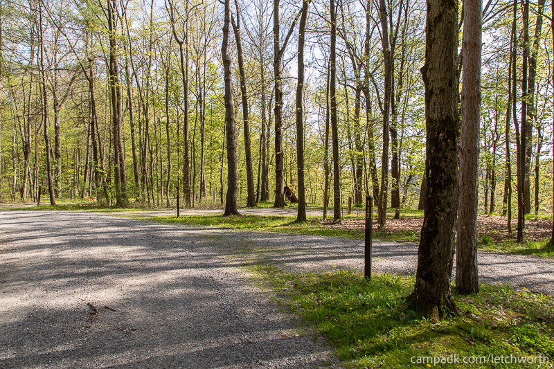 Campsite Photo of Site 117 at Letchworth State Park, New York - View Down Road from Campsite