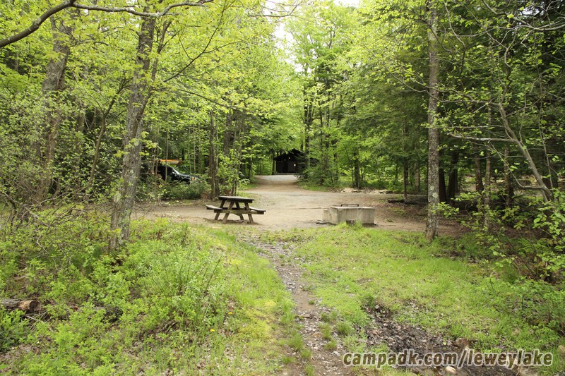 Campsite Photo of Site 111 at Lewey Lake Campground, New York - Returning Along Pathway from Water