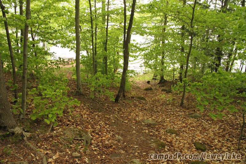 Campsite Photo of Site 3 at Lewey Lake Campground, New York - Looking at Site from Part Way In