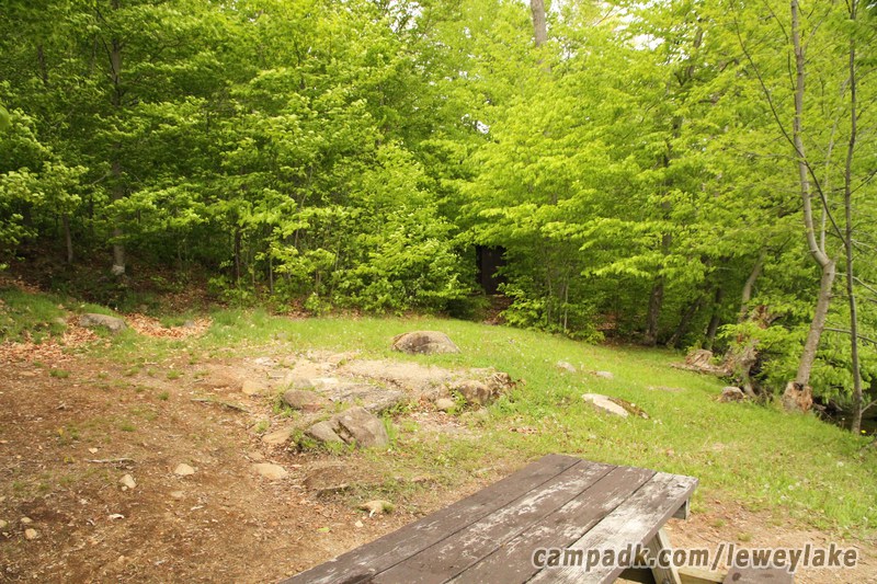 Campsite Photo of Site 3 at Lewey Lake Campground, New York - Cross Site View