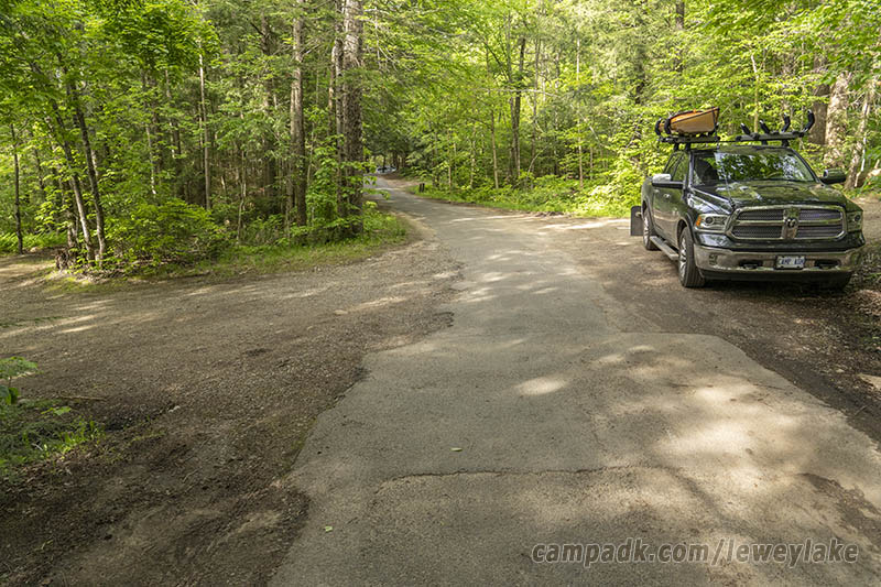 Campsite Photo of Site 111 at Lewey Lake Campground, New York - View Down Road from Campsite