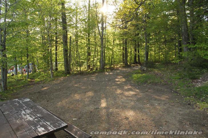 Campsite Photo of Site 10 at Limekiln Lake Campground, New York - Looking Back Towards Road
