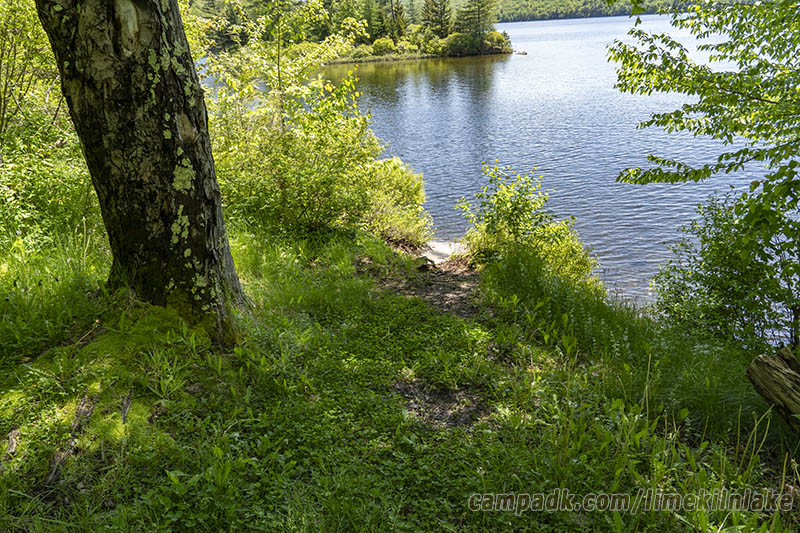 Campsite Photo of Site 10 at Limekiln Lake Campground, New York - Pathway Down to Water
