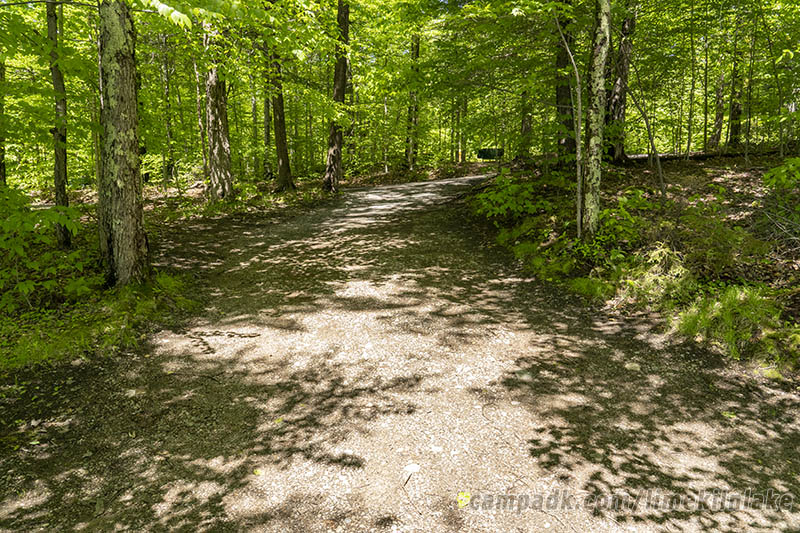 Campsite Photo of Site 10 at Limekiln Lake Campground, New York - Looking Back Towards Road