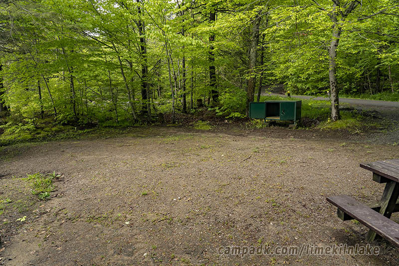 Campsite Photo of Site 162 at Limekiln Lake Campground, New York - Cross Site View