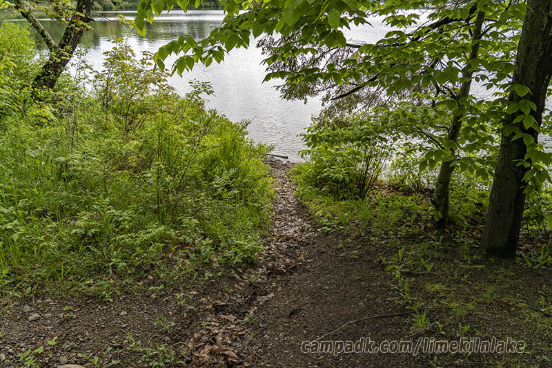 Campsite Photo of Site 162 at Limekiln Lake Campground, New York - Pathway Down to Water