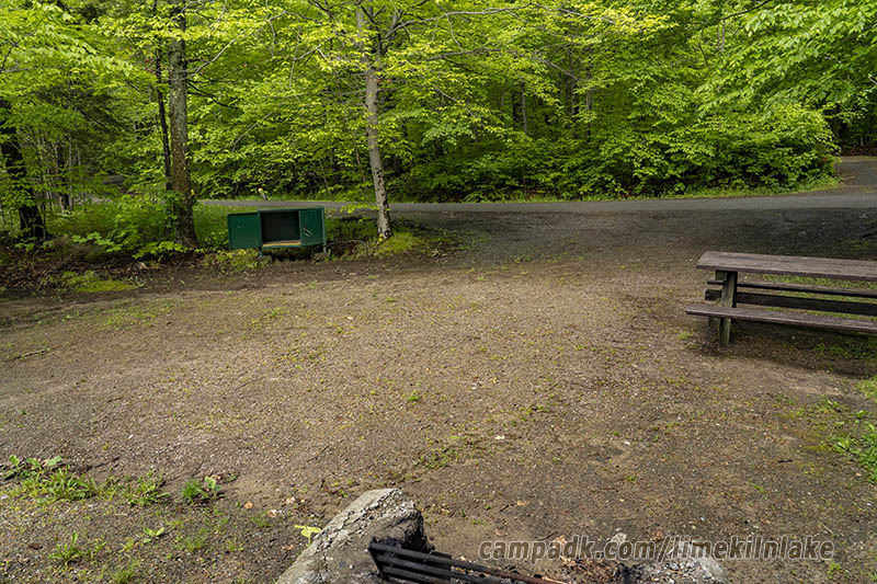 Campsite Photo of Site 162 at Limekiln Lake Campground, New York - Looking Back Towards Road