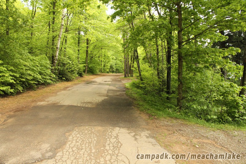 Campsite Photo of Site 166 at Meacham Lake Campground, New York - View Down Road From Campsite