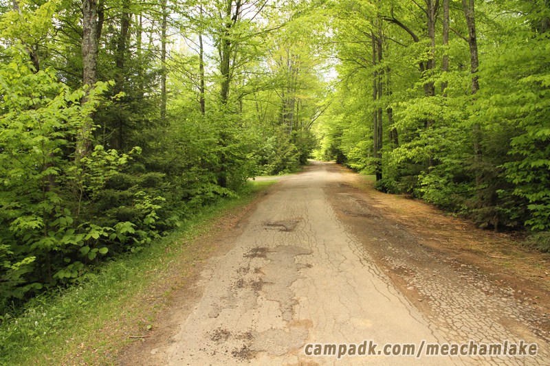 Campsite Photo of Site 166 at Meacham Lake Campground, New York - View Down Road From Campsite