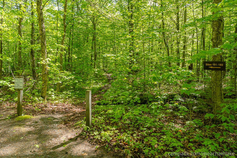 Campsite Photo of Site 192 at Meacham Lake Campground, New York - Looking at Site from Road Sign Visible