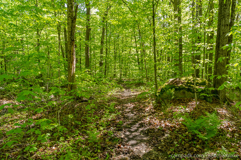 Campsite Photo of Site 192 at Meacham Lake Campground, New York - Looking at Site from Part Way In