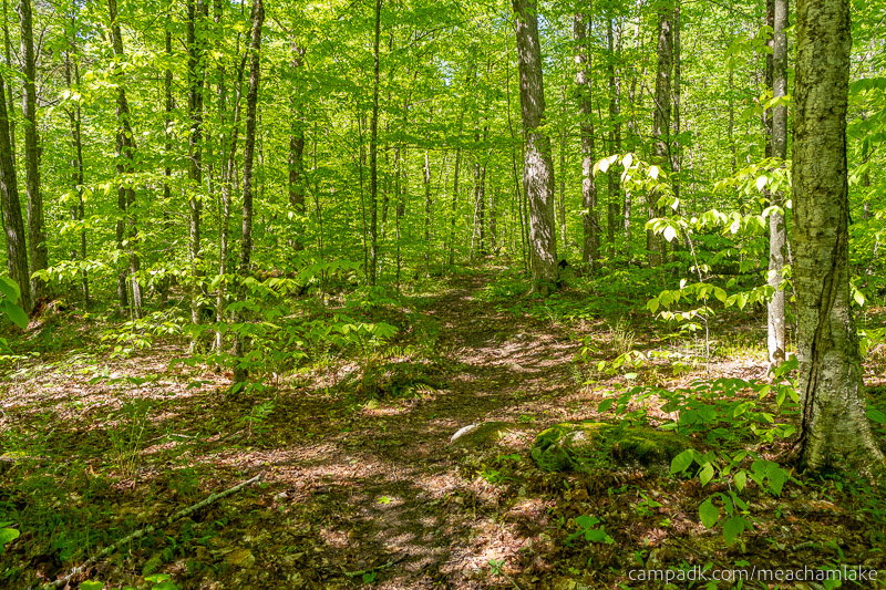 Campsite Photo of Site 192 at Meacham Lake Campground, New York - Looking Back Towards Road