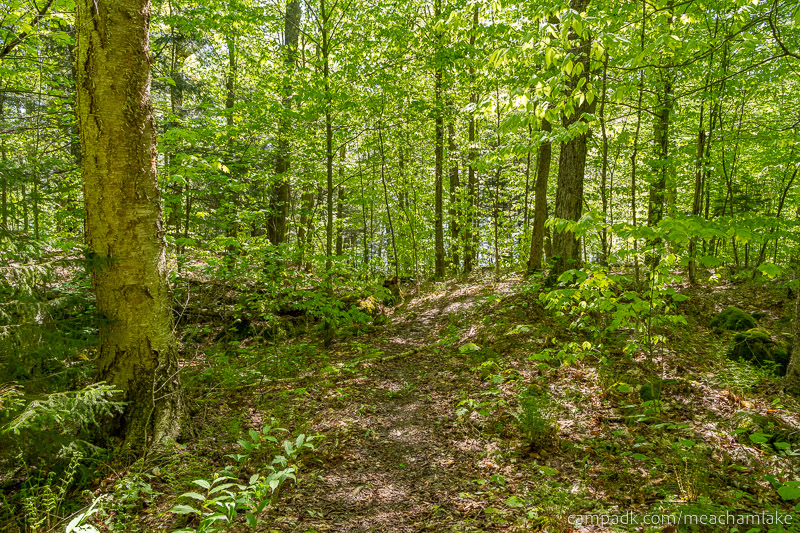 Campsite Photo of Site 192 at Meacham Lake Campground, New York - Looking at Site from Part Way In