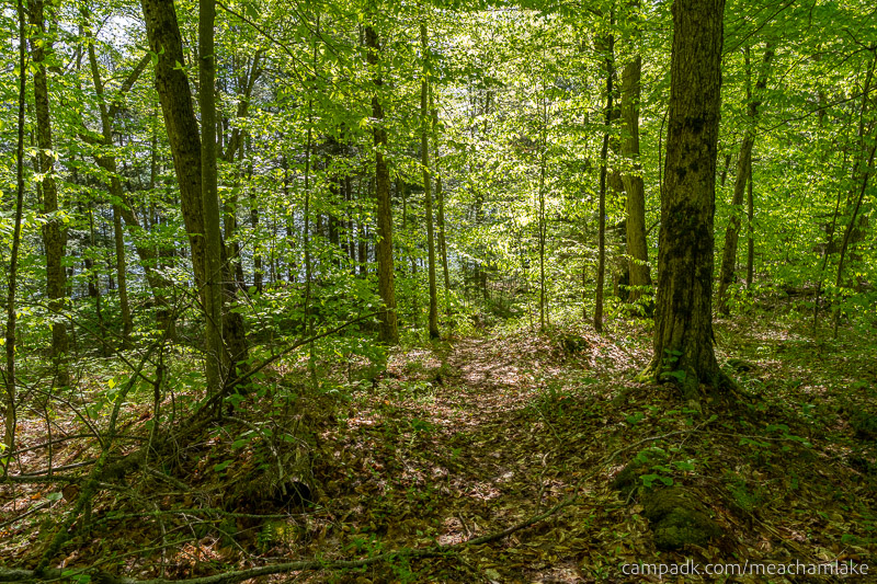 Campsite Photo of Site 192 at Meacham Lake Campground, New York - Looking at Site from Part Way In
