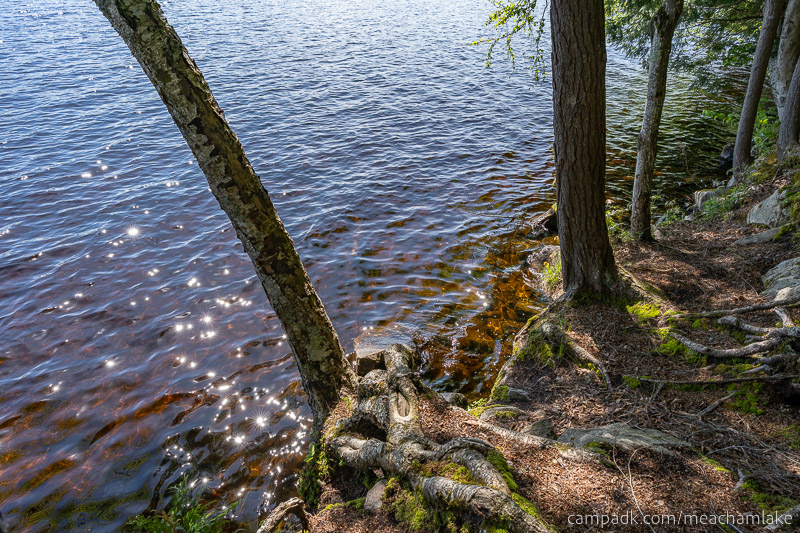 Campsite Photo of Site 192 at Meacham Lake Campground, New York - Shoreline