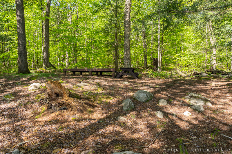 Campsite Photo of Site 192 at Meacham Lake Campground, New York - Returning Along Pathway from Water