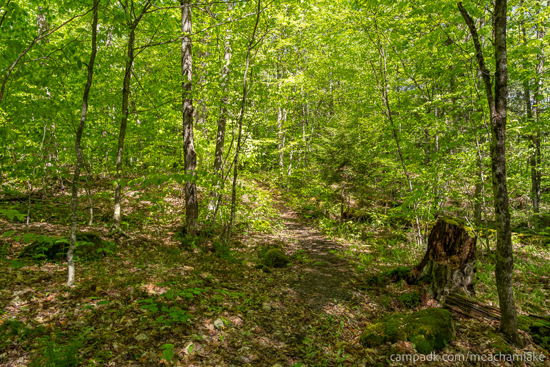 Campsite Photo of Site 192 at Meacham Lake Campground, New York - Looking Back Towards Road