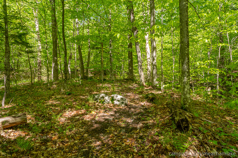 Campsite Photo of Site 192 at Meacham Lake Campground, New York - Looking Back Towards Road
