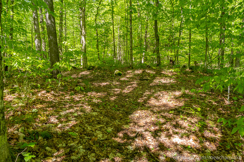 Campsite Photo of Site 192 at Meacham Lake Campground, New York - Looking Back Towards Road