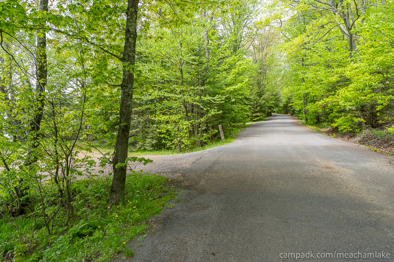 Campsite Photo of Site 166 at Meacham Lake Campground, New York - View Down Road from Campsite