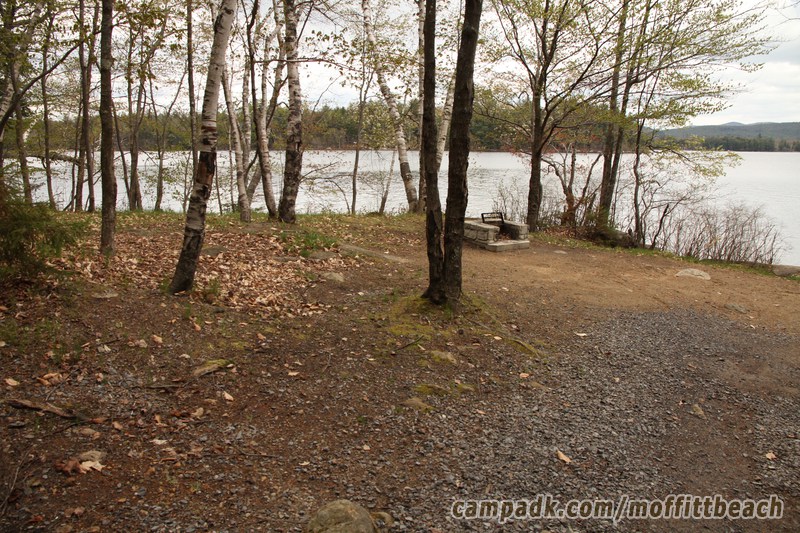 Campsite Photo of Site 193 at Moffitt Beach Campground, New York - Looking at Site from Part Way In