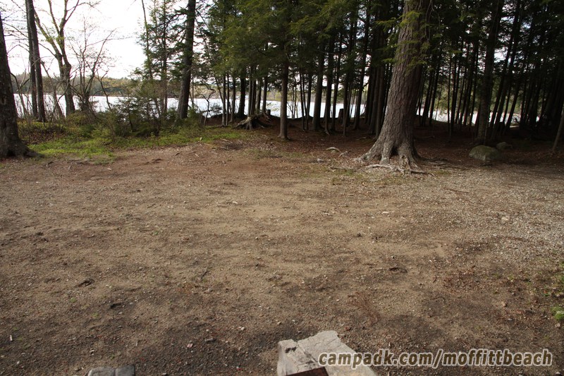 Campsite Photo of Site 118 at Moffitt Beach Campground, New York - Cross Site View