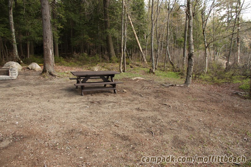 Campsite Photo of Site 118 at Moffitt Beach Campground, New York - Cross Site View