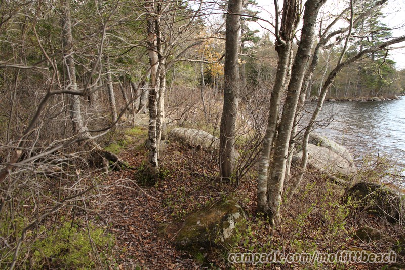 Campsite Photo of Site 118 at Moffitt Beach Campground, New York - Pathway Down to Water