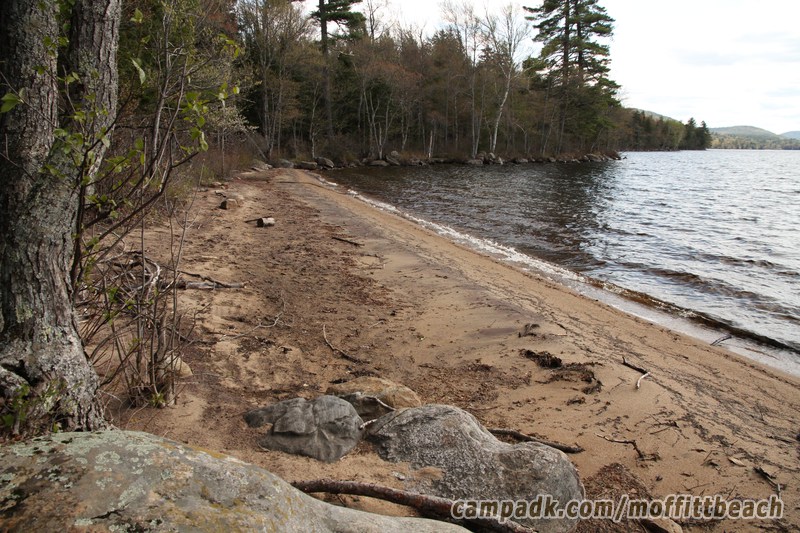 Campsite Photo of Site 118 at Moffitt Beach Campground, New York - Shoreline