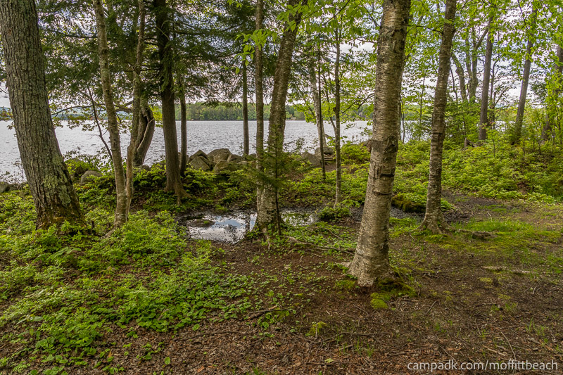 Campsite Photo of Site 118 at Moffitt Beach Campground, New York - Cross Site View