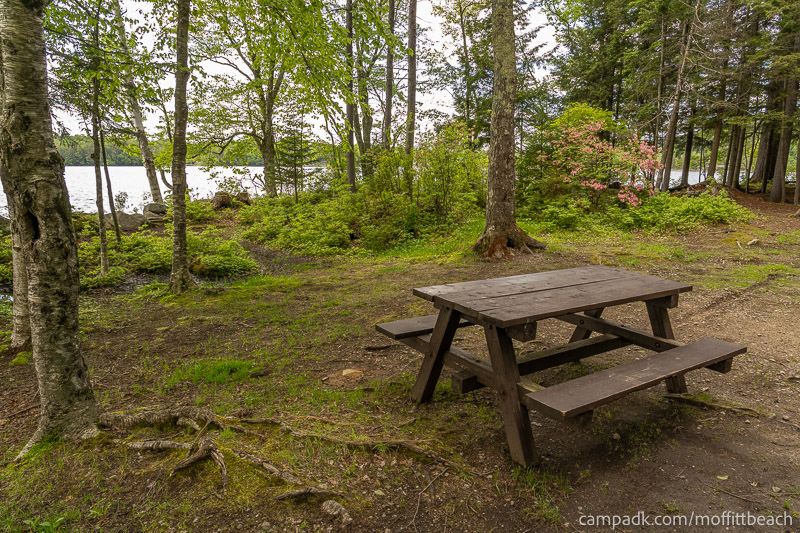 Campsite Photo of Site 118 at Moffitt Beach Campground, New York - Cross Site View