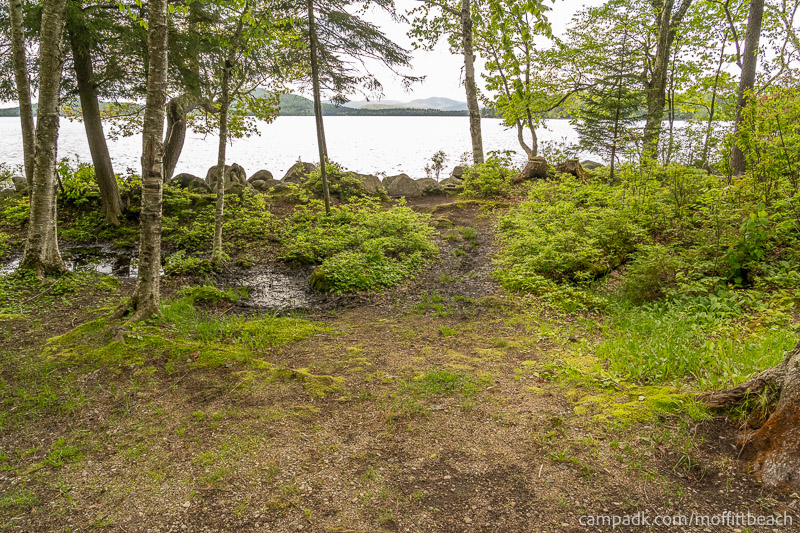 Campsite Photo of Site 118 at Moffitt Beach Campground, New York - Pathway Down to Water