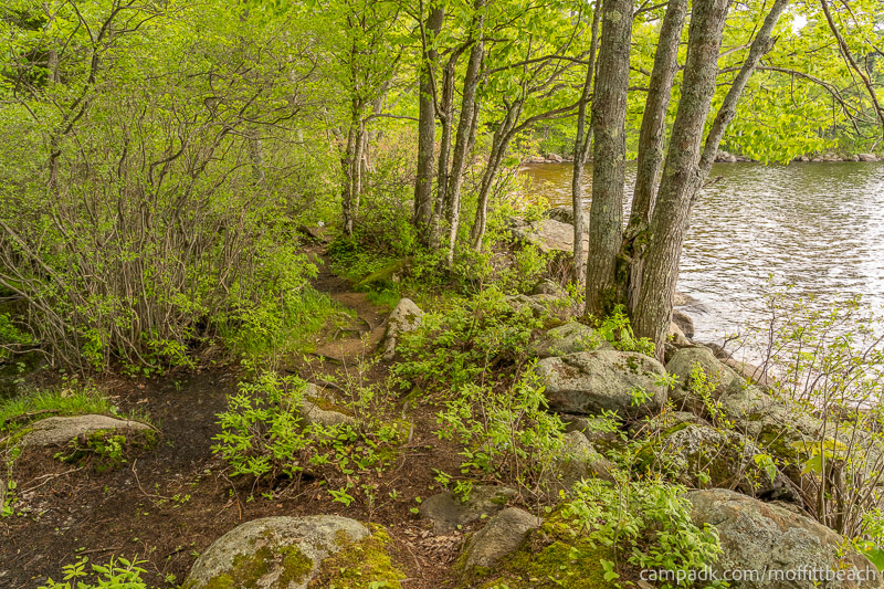 Campsite Photo of Site 118 at Moffitt Beach Campground, New York - Shoreline