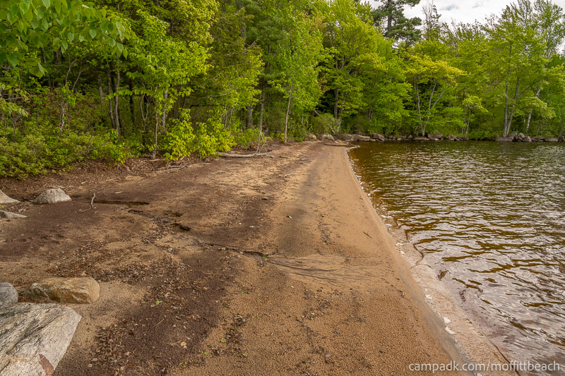 Campsite Photo of Site 118 at Moffitt Beach Campground, New York - Shoreline