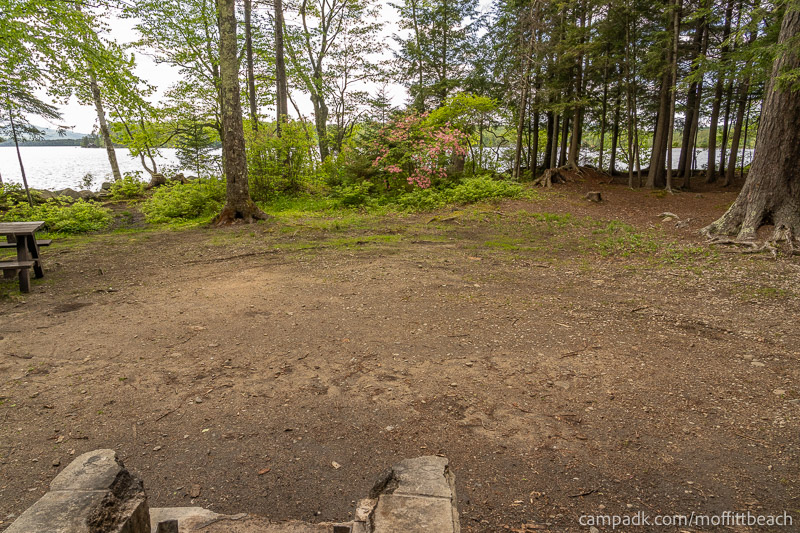 Campsite Photo of Site 118 at Moffitt Beach Campground, New York - Cross Site View