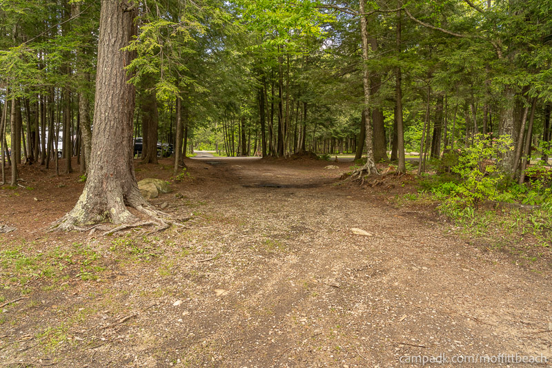 Campsite Photo of Site 118 at Moffitt Beach Campground, New York - Looking Back Towards Road