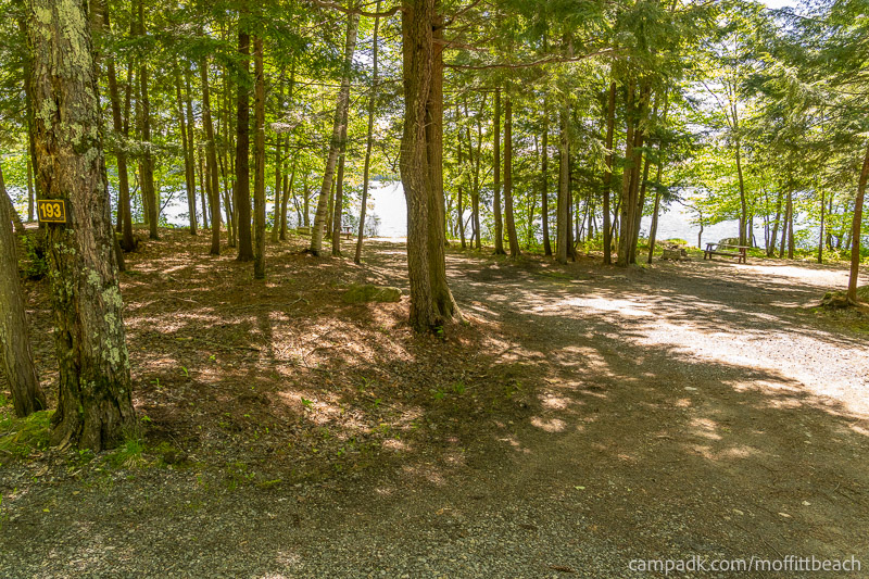 Campsite Photo of Site 193 at Moffitt Beach Campground, New York - Looking at Site from Road Sign Visible