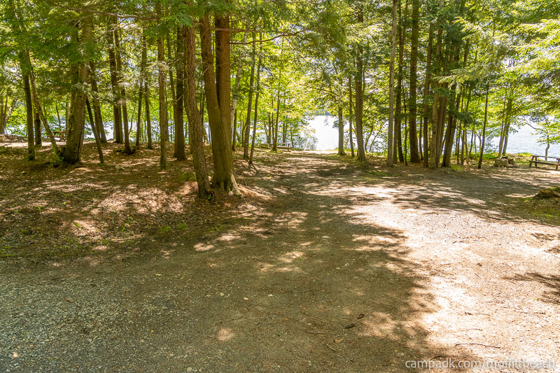 Campsite Photo of Site 193 at Moffitt Beach Campground, New York - Looking at Site from Road