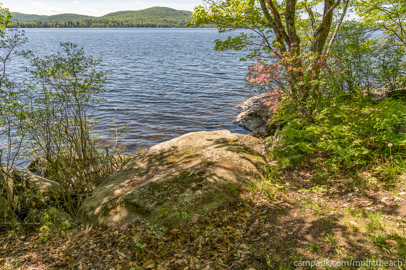 Campsite Photo of Site 193 at Moffitt Beach Campground, New York - Shoreline